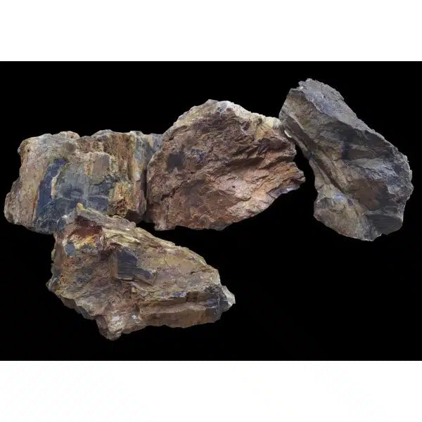 A.P. Natural Petrified Wood Rock Modern Aquatic Design Aquariums