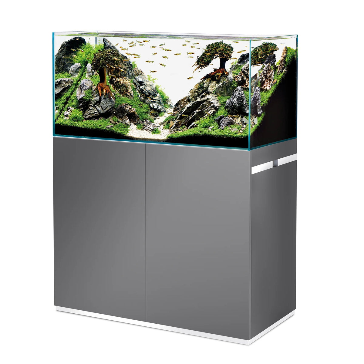 Oase ScaperLine Aquarium Set – Modern Aquatic Design Aquariums