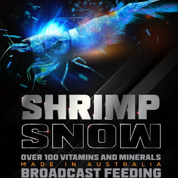 S.A.S. Shrimp Snow