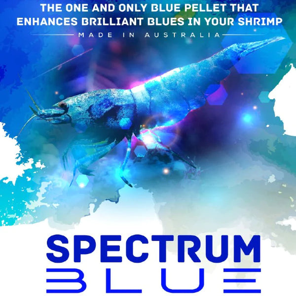 S.A.S. Spectrum Blue