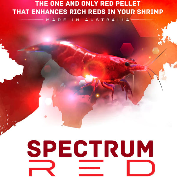 S.A.S. Spectrum Red