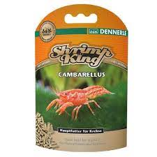 Shrimp King Cambarellus