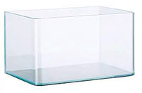 Bioscape Curved Aquarium