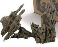 Dragon  driftwood